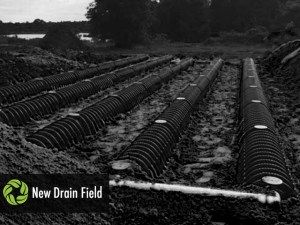 A new drain field installed on a lake on a private property in Central Florida